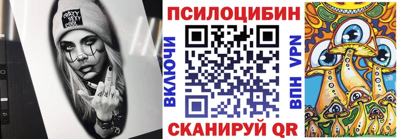 как найти наркотики  Псков  Галлюциногенные грибы GOLDEN TEACHER 